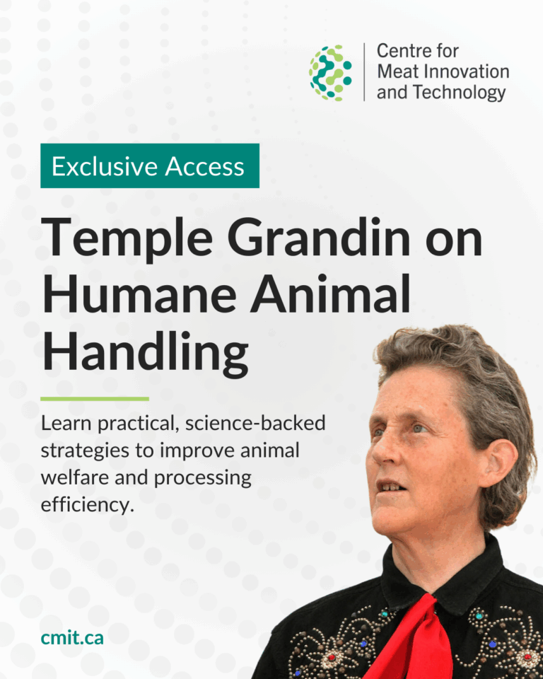 Temple-Grandin-on-humane-animal-handling