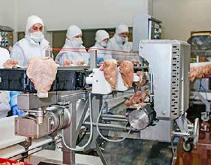 machine with meat and workers